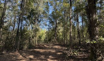005 G Wallace Buie Rd, Ashford, AL 36376