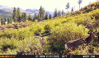 10643 CR 501, Bayfield, CO 81122