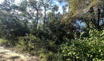S Carroll Drive, Baker, FL 32531