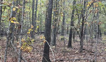 County Road 113 lot 1, Alton, MO 65606