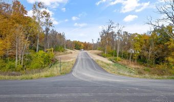 0 Todds Fork Reserve Lot 39, Wilmington, OH 45177