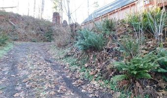 71267 NORTHSHORE Dr, Birkenfeld, OR 97016