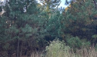 421041 E 1945 Ln, Antlers, OK 74523