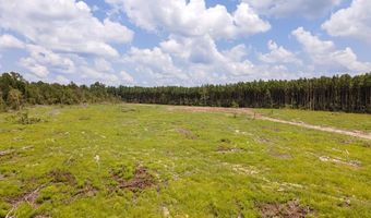 R53358 Tract 2 HWY 94, Apple Springs, TX 75926