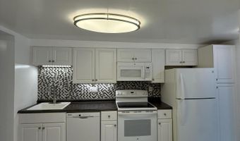 31 Elm St Garden, Albany, NY 12202