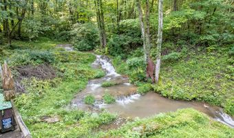 275 W Pines Rd, Afton, TN 37616