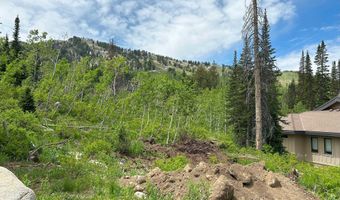 12176 E BIG COTTONWOOD Cyn, Brighton, UT 84121