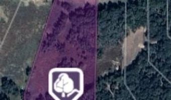 130 Banjo Ct, Alvord, TX 76225