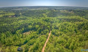 87 Acres Kay Hollis Rd, Beaverton, AL 35544