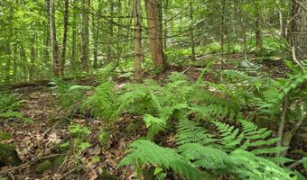 56 Franklin Rd, Andes, NY 13731