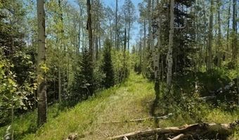 40 Acres Summit Mountain Rd, Brian Head, UT 84719
