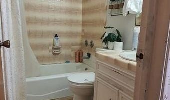 1319 Sago Palm St, Alamo, TX 78516