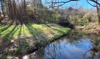 Old Courthouse Road, Appomattox, VA 24522