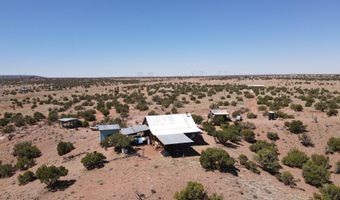 22 N9235, Concho, AZ 85924