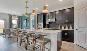 336 Bushwack Dr Plan: Gage, Adkins, TX 78101