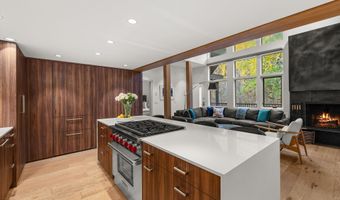 800 S Mill St 303C, Aspen, CO 81611