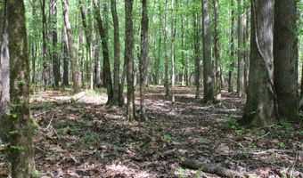 Ruffner Road 00, Barnesville, GA 30204