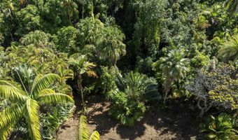 62 HOOLAWA Rd B, Haiku, HI 96708