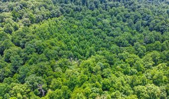Mt Helen Rd, Allardt, TN 38504