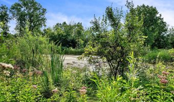 667 Duxbury Ct SE, Ada, MI 49301