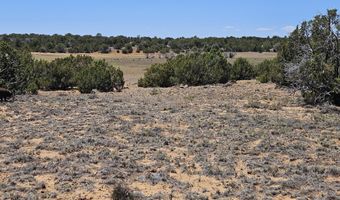 ACR N8388 and N8385, Concho, AZ 85924
