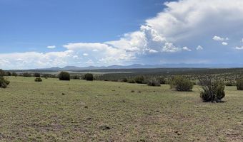 141 N8515, Concho, AZ 85924