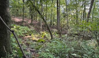 0 Military Rd, Beaverton, AL 35544