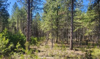 Nka Sheep Springs 10 acres, Athol, ID 83801