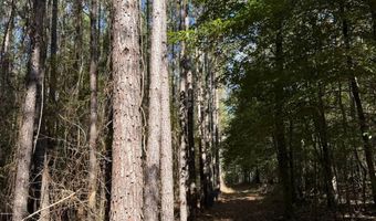 971 Somerset Rd SE, Bogue Chitto, MS 39629