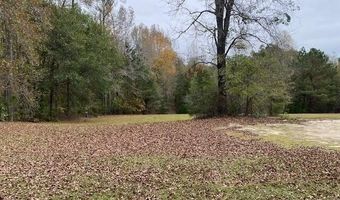 6384 COBBHAM Rd, Appling, GA 30802