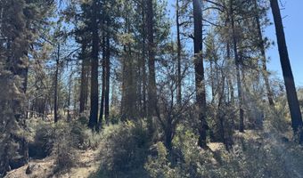0 Jaguar Ln Lot 4, Bonanza, OR 97623