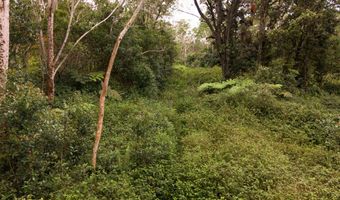 75-1305 KEOPU MAUKA Dr, Holualoa, HI 96725
