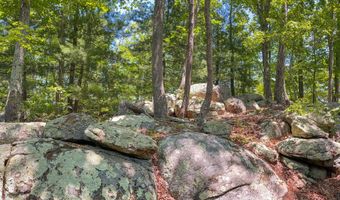 151 Stoneybrook Rd, Amherst, VA 24521