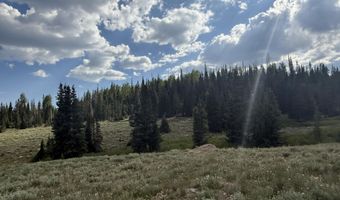 2074 S Lowder Crk, Brian Head, UT 84719