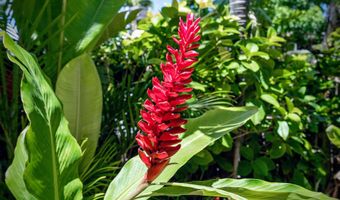 140 UWAPO Rd 39-102, Kihei, HI 96753