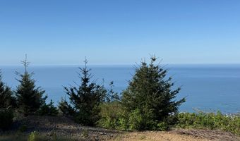 Jodel CT 3, Brookings, OR 97415
