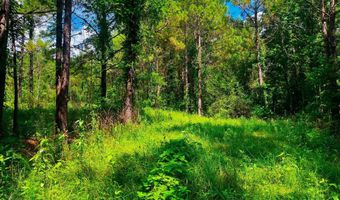 Arthur Drive, Brookhaven, MS 39601