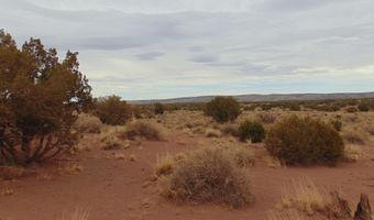 42 N5576, Concho, AZ 85924