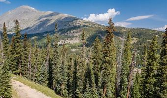 585 COUNTY ROAD 805, Breckenridge, CO 80424