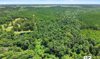 3470 Bell Fork Rd, Atmore, AL 36502
