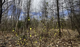 0 Burke Green Rd 2, Burke, VT 05832