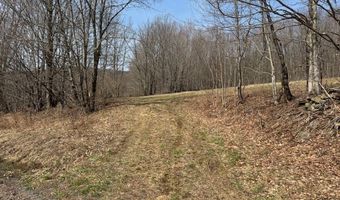 Lot 2 Doig Hollow Road, Andes, NY 13731