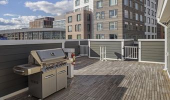 50 Hichborn St 204, Boston, MA 02135