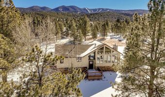 71 Halo Pines Ter, Angel Fire, NM 87710