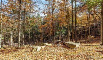 11 13/A High Point Dr Lot 10, Alton, NH 03810