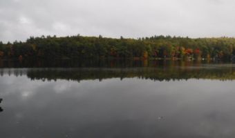 Perch Pond Road, Benson, VT 05743