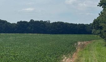1537 270th St, Argyle, IA 52619