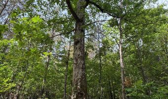 759 HWY 9, Banner, MS 38913