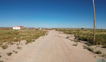 150-5 S Roberson Rd, Carlsbad, NM 88220