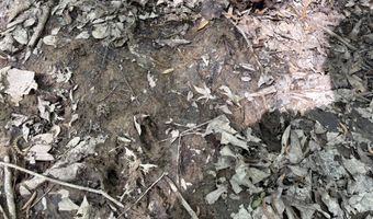 SW Auburn Drive, Bogue Chitto, MS 39629